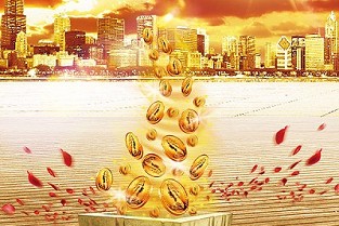 广州老年公寓 金碧文华二手房